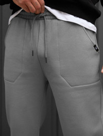 Spodnie sportowe Staff light gray fleece