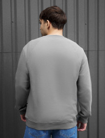 Bluza Staff gray logo