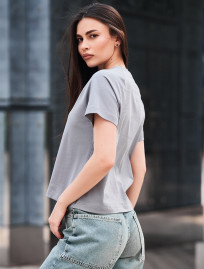 Koszulka Staff ice logo gray