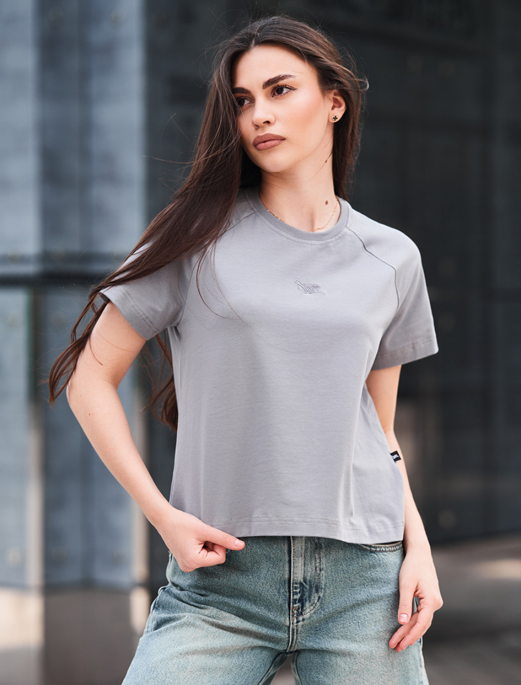 Koszulka Staff ice logo gray