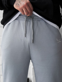 Spodnie dresowe Staff fad light gray