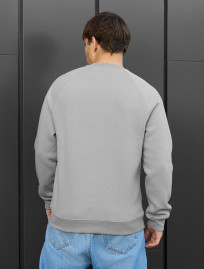 Bluza Staff light gray logo fleece