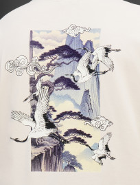 Koszulka Staff birds & mountains oversize