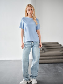 Koszulka Staff ant light blue