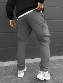 Spodnie ocieplane Staff st cargo gray fleece