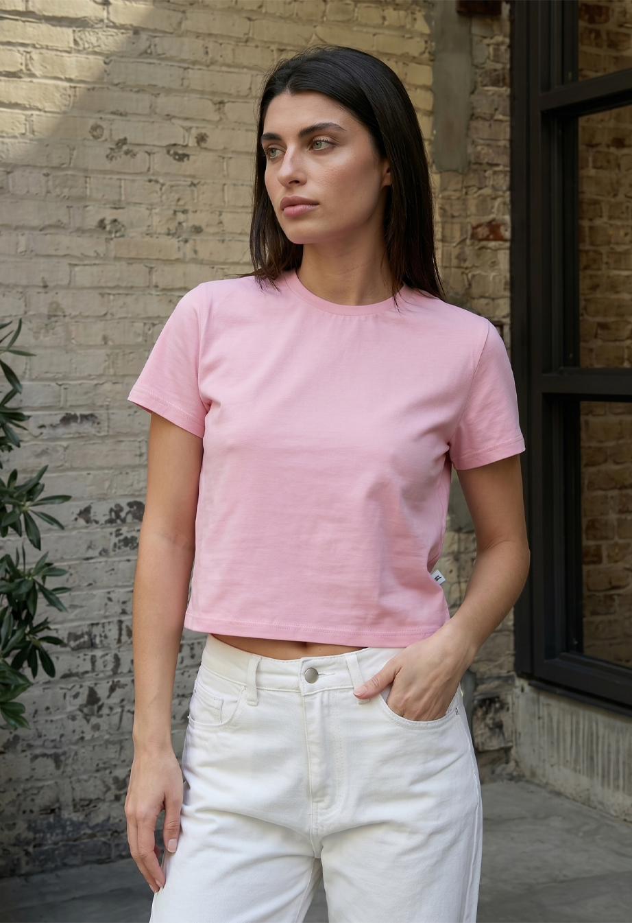 Koszulka Staff fes pink