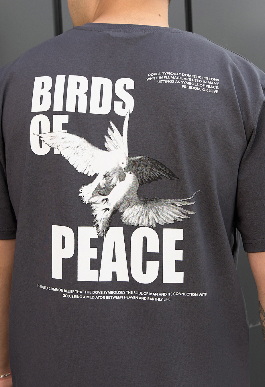 Koszulka Staff birds of peace