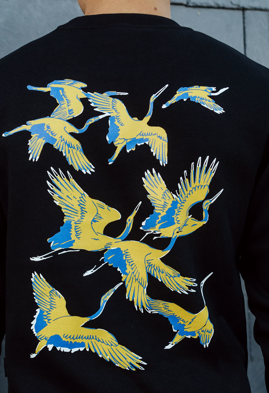 Bluza Staff logo & birds fleece