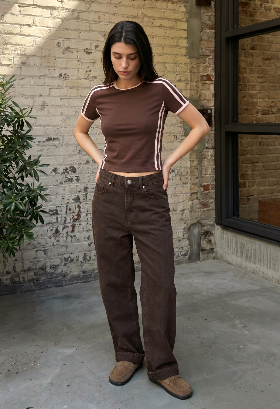 Koszulka Staff ti brown & stripes