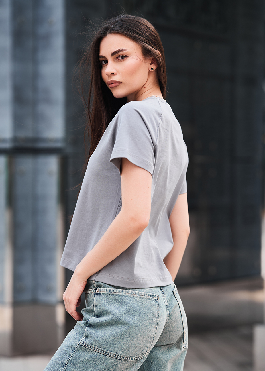 Koszulka Staff ice logo gray