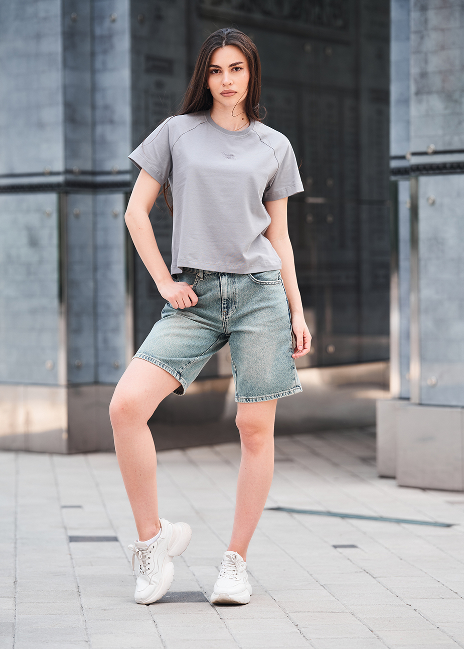 Koszulka Staff ice logo gray