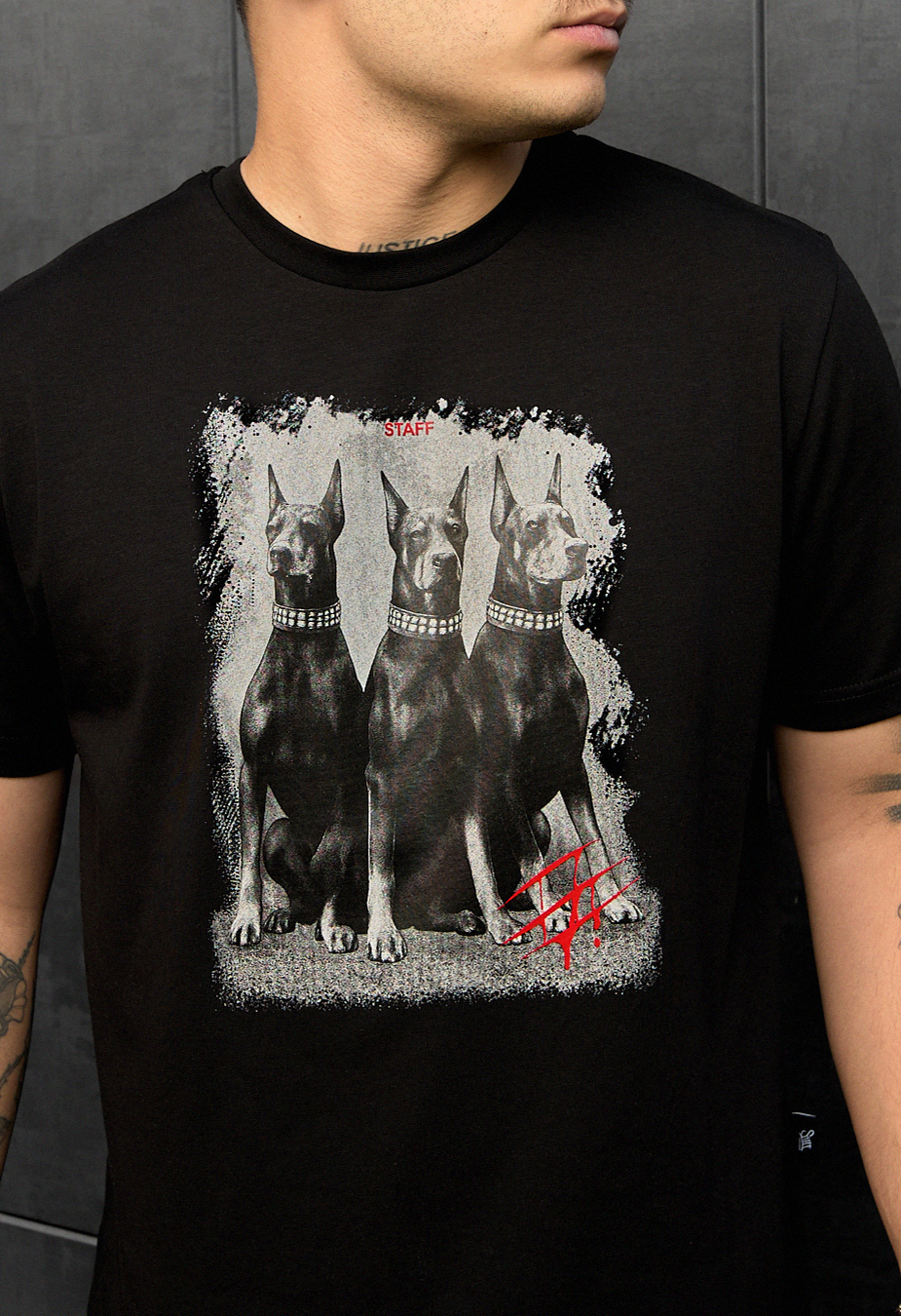Koszulka Staff dogs