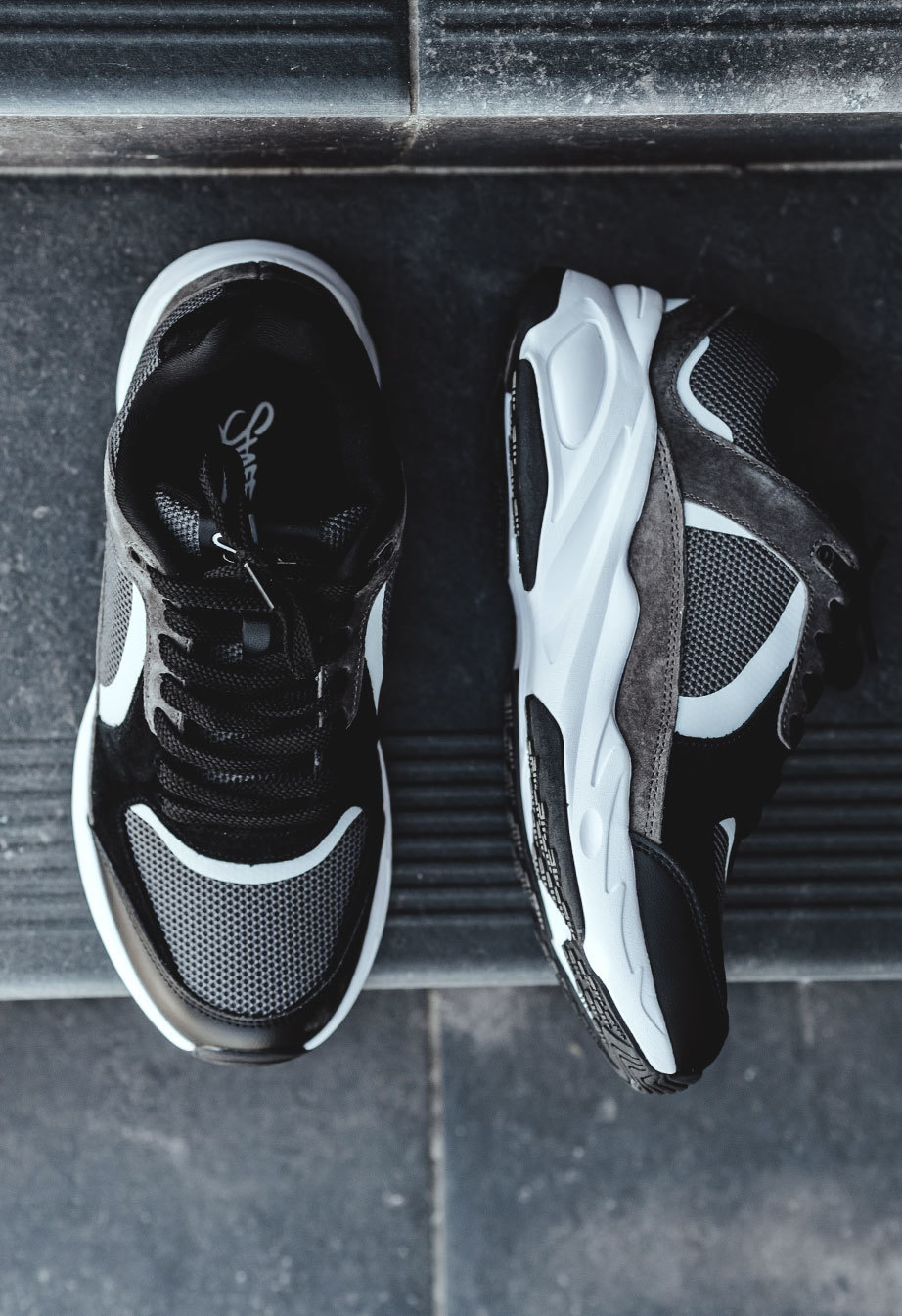 Sneakersy Staff gray & black & brown