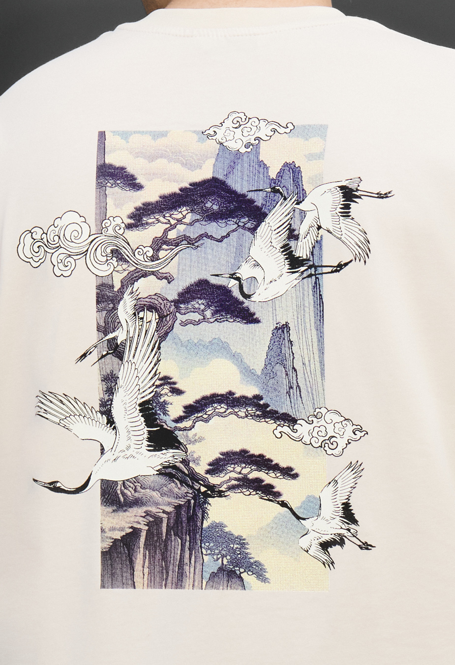 Koszulka Staff birds & mountains oversize
