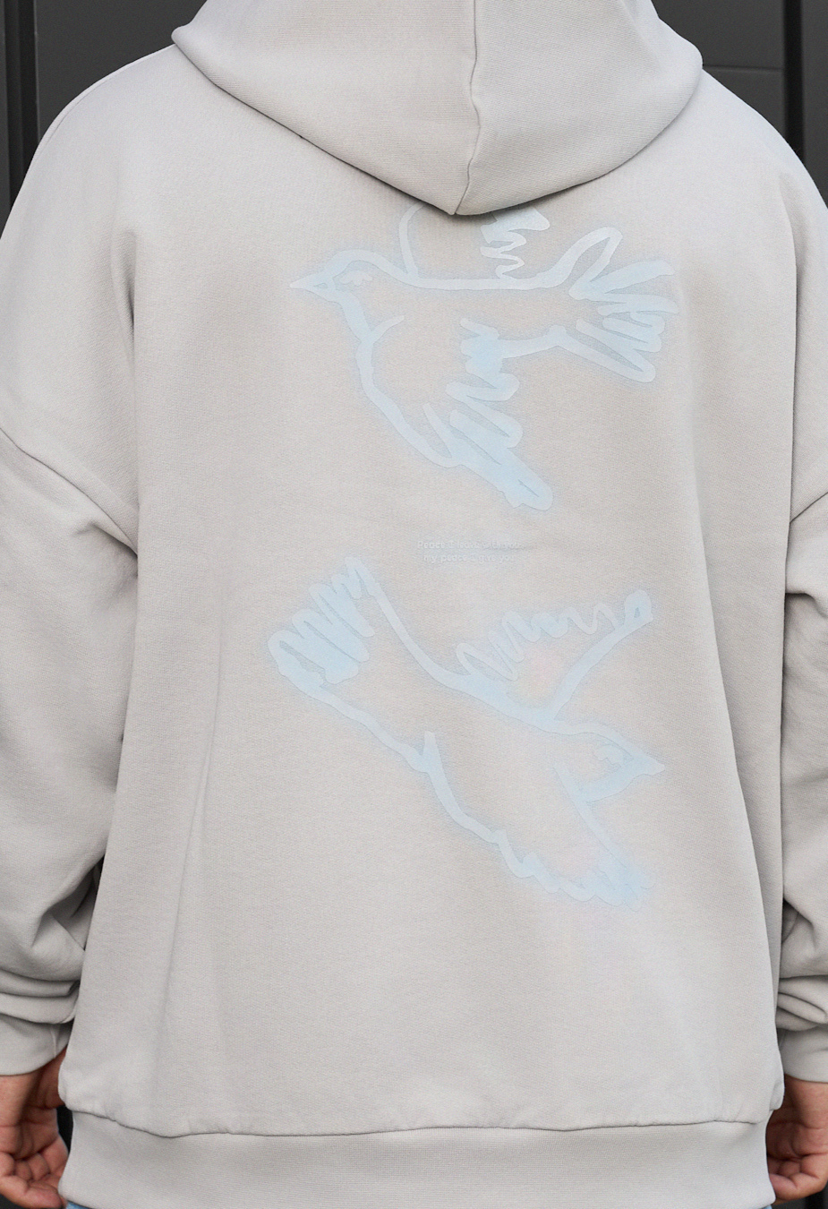 Bluza Staff birds oversize