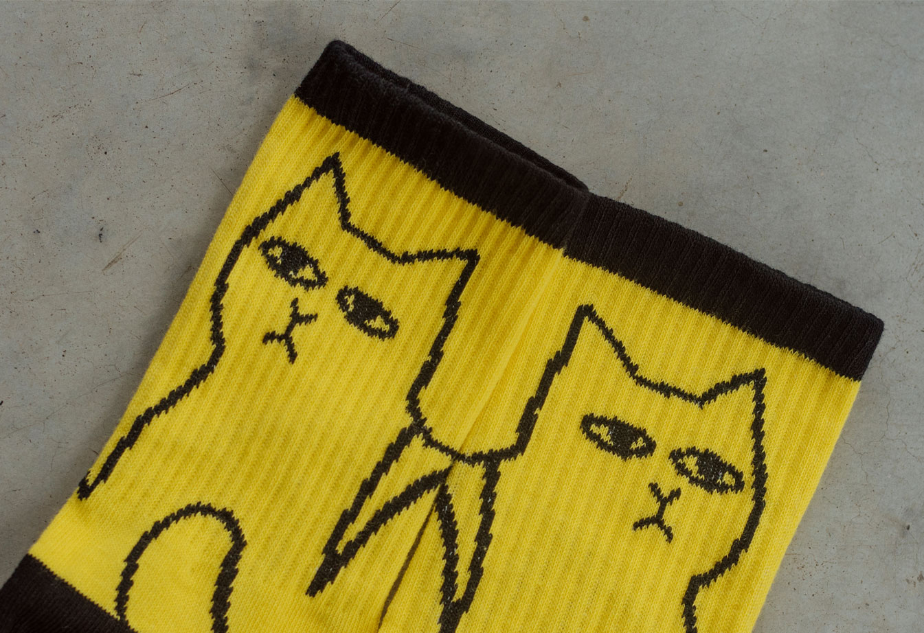 Skarpety Staff black & yellow cats