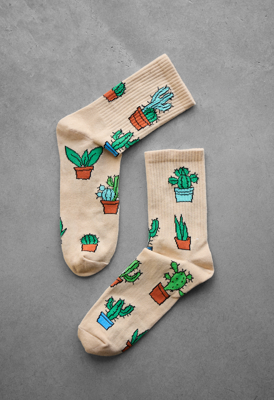 Skarpety Staff cactuz