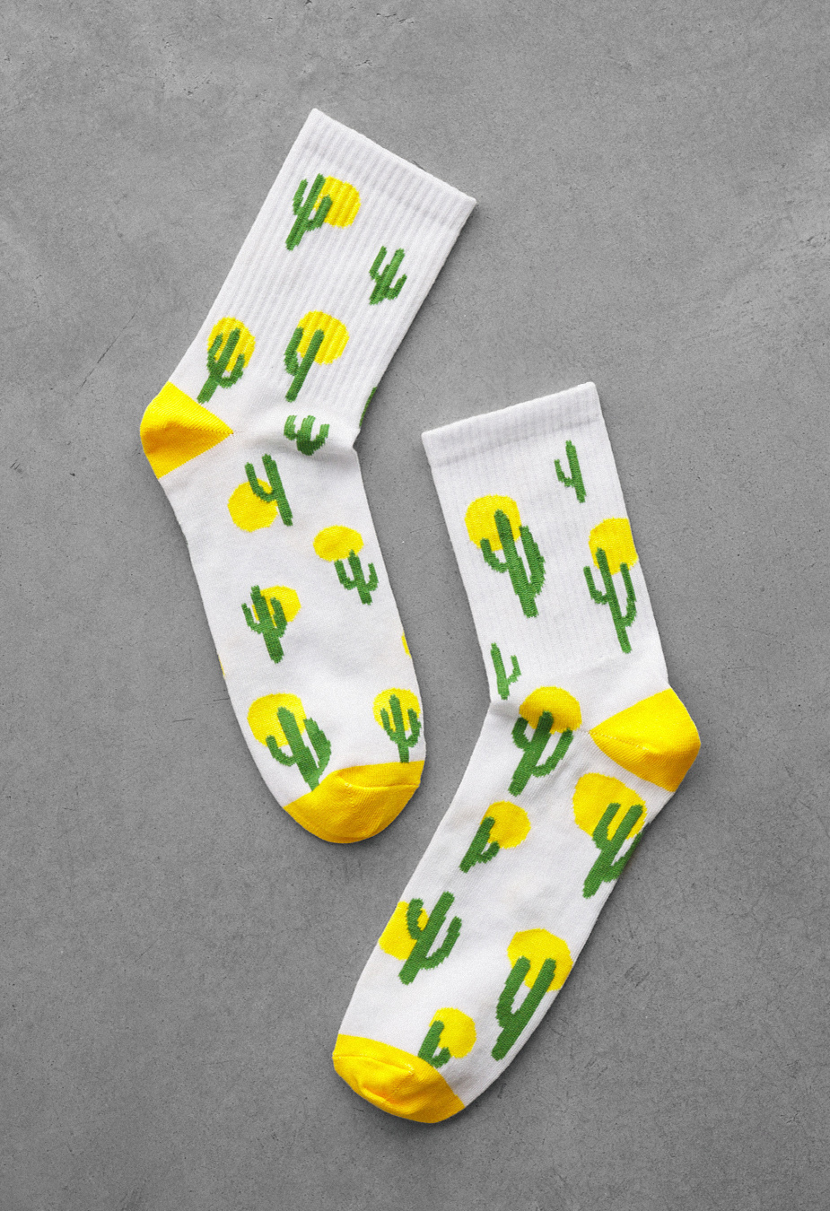 Skarpety Staff cactus